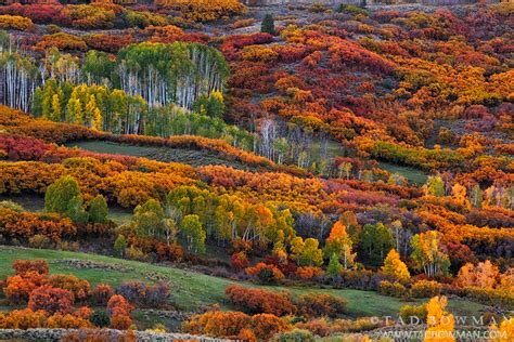 2013 Colorado Fall Colors Trip | Tad Bowman