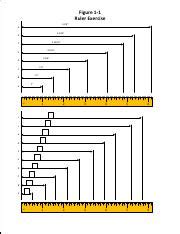 Ruler Exercise: Learn How to Measure in Inches with This | Course Hero