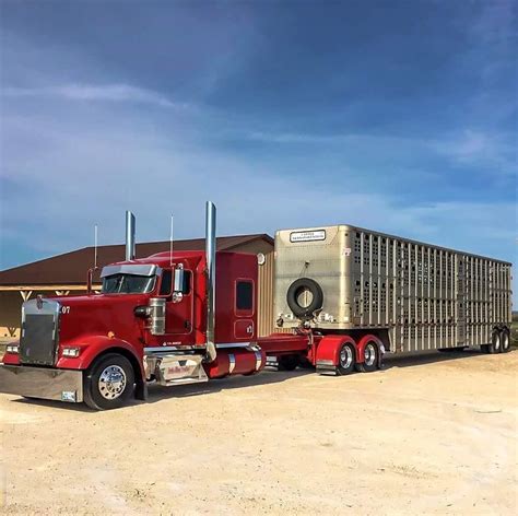 Kenworth W900 Bull Hauler | Images and Photos finder