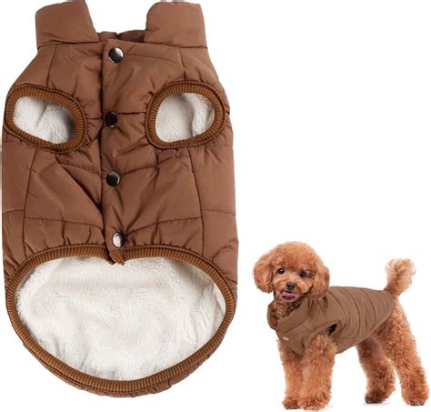 Clothing & Accessories for Dogs - Amazon.co.uk