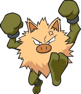 Primeape | Shiny pokemon Wiki | Fandom