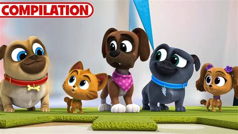 Best of Puppy Dog Pals Season 5 | 51 Minutes | Compilation | Disney ...