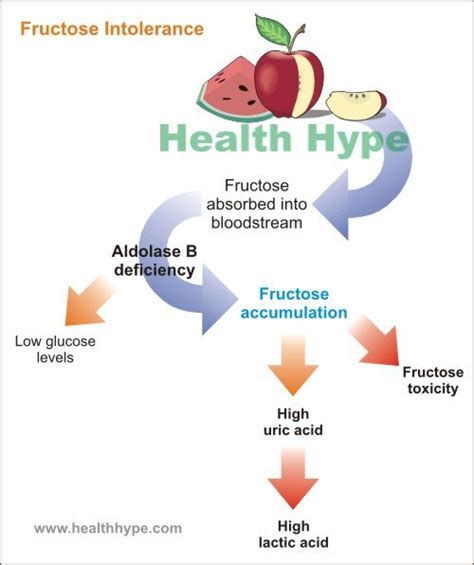 Fructose Enzyme Deficiency Causes, Symptoms and Treatment | Healthhype.com