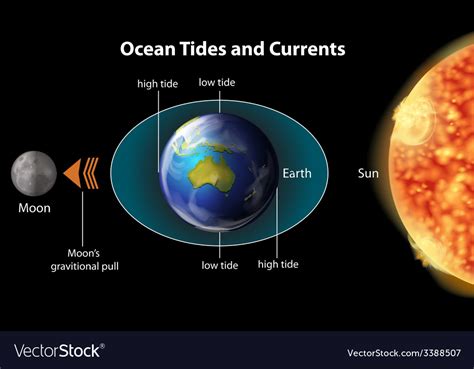 Ocean tides and currents Royalty Free Vector Image