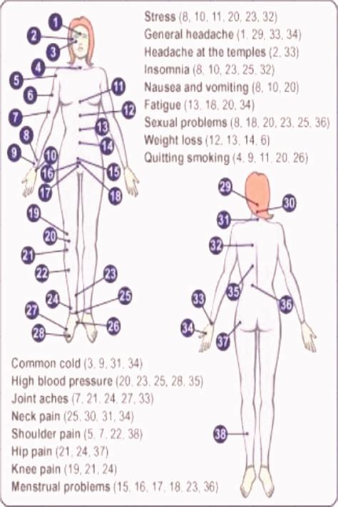 Printable Female Acupuncture Points Chart - Captain Printable Calendars