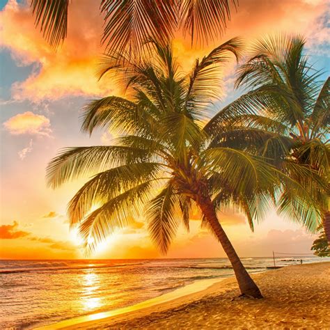 Tropical Beach Screensavers And Wallpaper (67+ images)