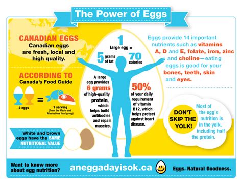 Egg Nutrition - Egg Farmers of Alberta