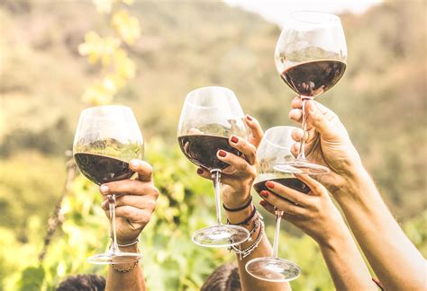 Conheça 6 dos países com os melhores vinhos do mundo