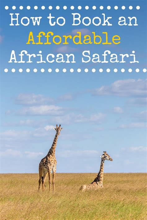 How to Book an Affordable African Safari | Safari travel, African ...