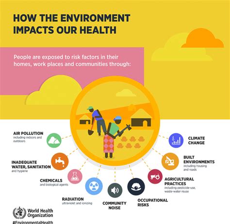 5 Major Environmental Health Problems | JLI Blog