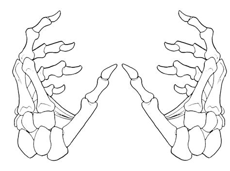 Free Skeleton Hand Cliparts, Download Free Skeleton Hand Cliparts png ...