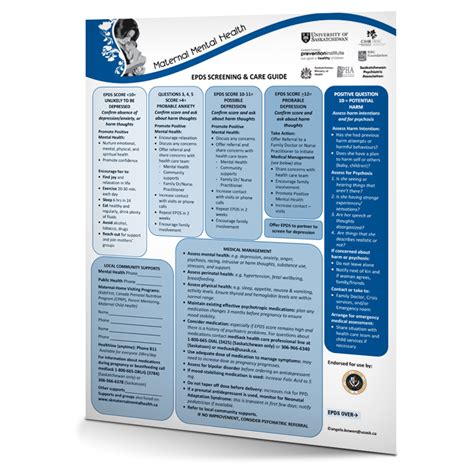 Edinburgh Postpartum Depression Scale (EPDS) Screening and Care Guide ...