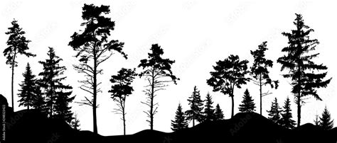 Forest silhouette trees. Vector illustration. (Trees isolated from each ...