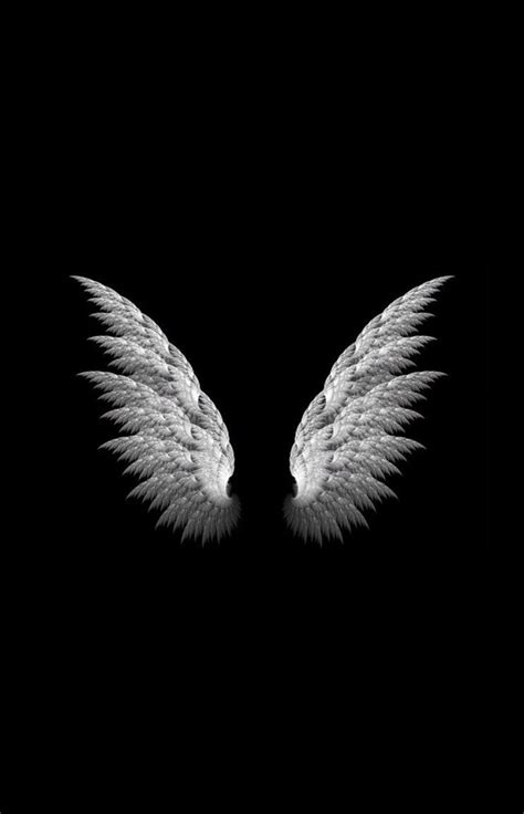 Framed Print - White Angel Wings On A Black Background (Picture Poster ...