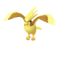 Pidgeot | Pokémon GO Wiki | Fandom