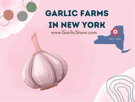 Garlic Farms - Garlic Store