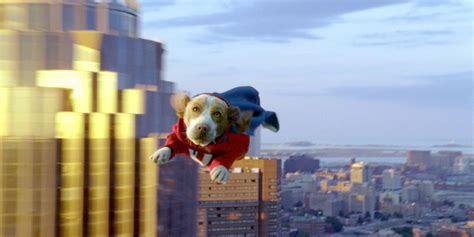 Film - Underdog - Into Film