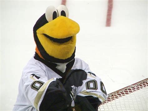 The Pittsburgh Penguins Mascots: From Pete to Iceburgh