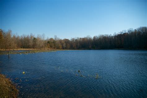 Patuxent River Park, MD | Ronnie and I found out that this p… | Flickr