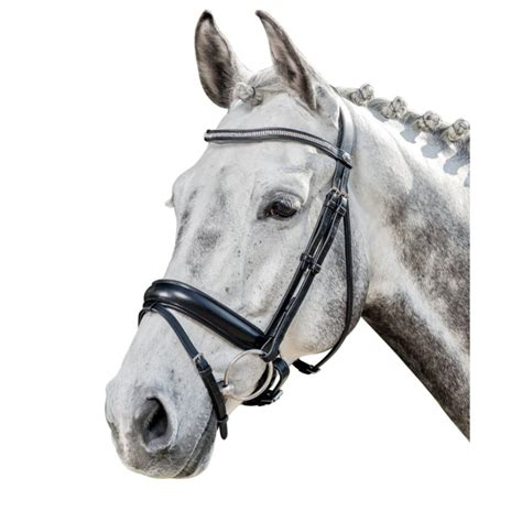 Dressage Bridles | The Farm House