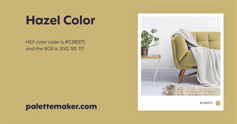 Hazel Color - HEX #C8B575 Meaning and Live Previews - PaletteMaker