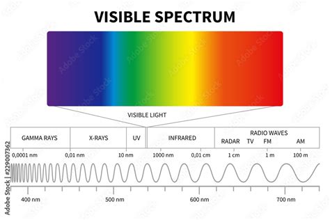 Visible light diagram. Color electromagnetic spectrum, light wave ...