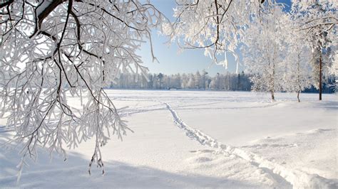 🔥 [50+] Snowy Fields Wallpapers | WallpaperSafari