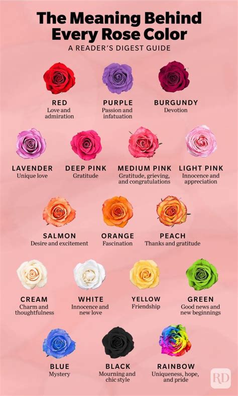 Meaning of the color of roses: what do you mean? - Complete Gardering