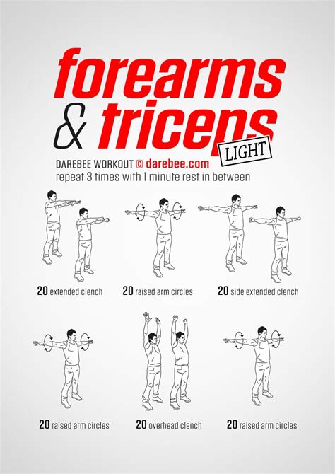 Forearms & Triceps Workout Workout Routine For Men, Cardio Workout At ...