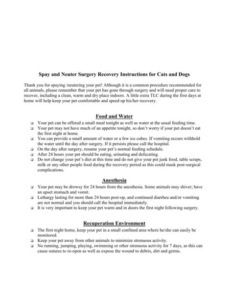 Spay and Neuter Surgery Recovery Instructions for Cats and Dogs