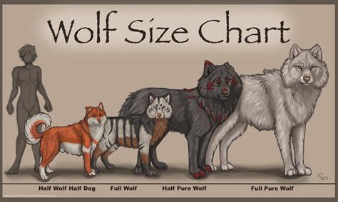 Wolf Size Chart by NatsumeWolf on DeviantArt