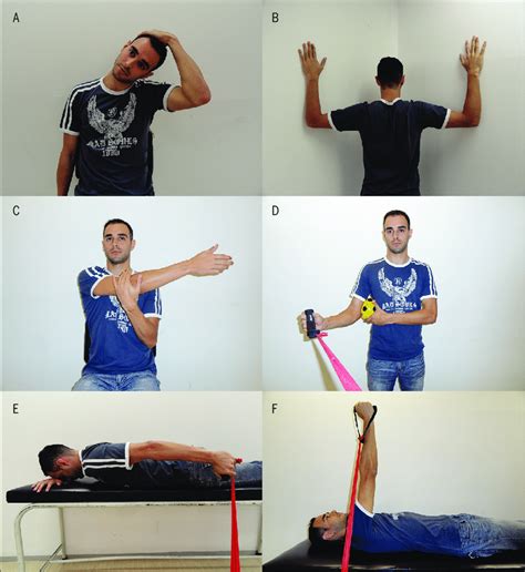 Stretching Exercises For Trapezius Muscle