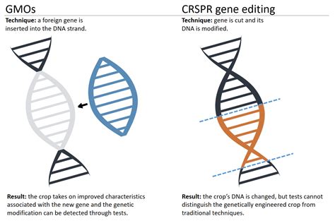 Genetically modified vs. gene editing - Wells Fargo