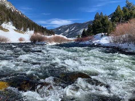 Madison River Fishing Report 03/05/2020 - Galloup's Slide Inn