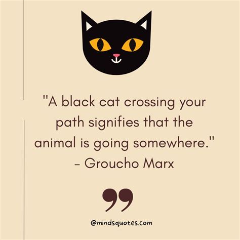 50 Best National Black Cat Appreciation Day Quotes, Messages & Wishes