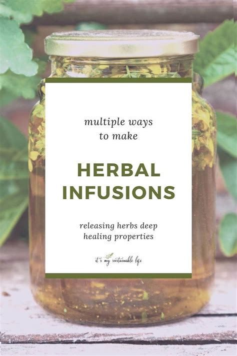 Herbal Infusions {How To Make & Use} | Ervas medicinais, Ervas