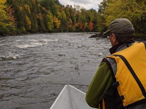 Androscoggin River Fishing Guide [Everything You Need To Know]