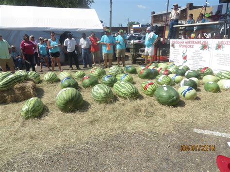 PrunePicker: 53rd Annual Watermelon Festival. Farmerville, Louisiana.