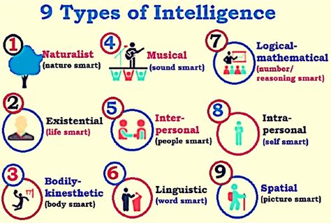 12 Types Of Intelligence