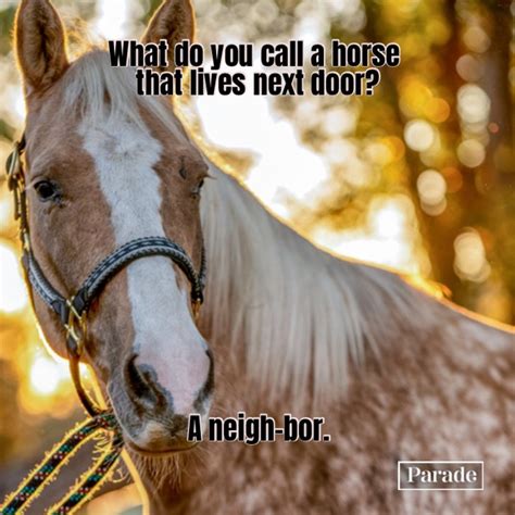 35 Horse Puns To Make You Whinny With Laughter - Parade