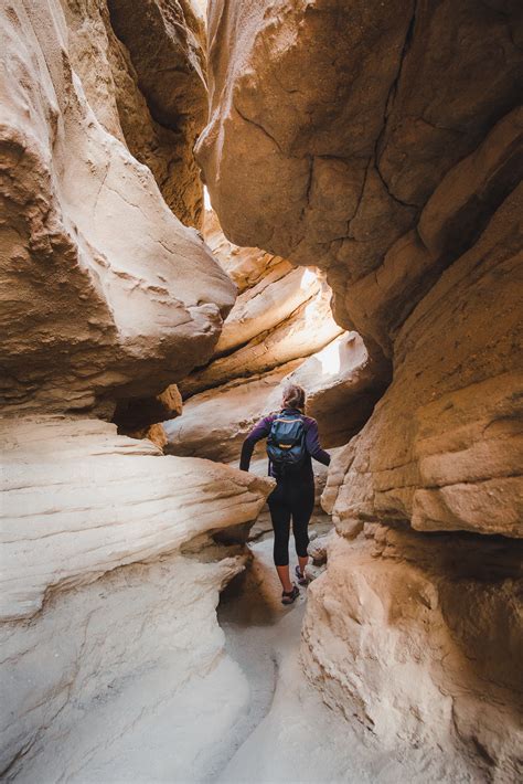 Best Short Hikes in Anza-Borrego Desert State Park