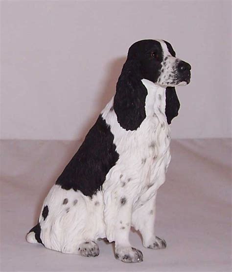 Border Fine Arts English Springer Spaniel | Border Fine Arts