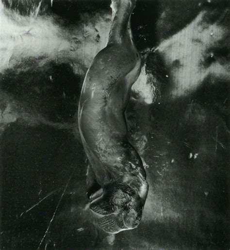 Shomei Tomatsu. Bottle Melted and Deformed by Atomic Bomb Heat ...