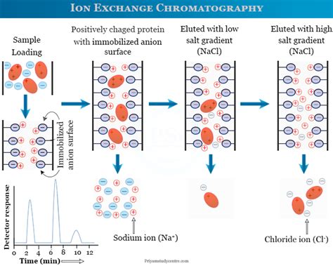 Ion Exchange Chromatography - Principle, Procedure