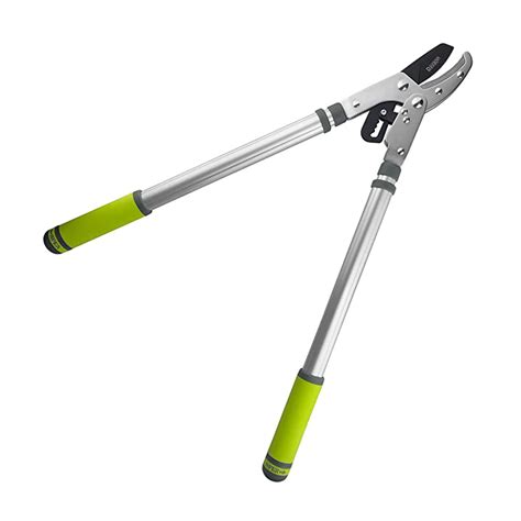 Buy Professional Tree Loppers for Gardening - Heavy Duty Telescopic ...