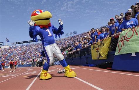 Say hi to Big Jay and Baby Jay, your KU mascots! - University of Kansas