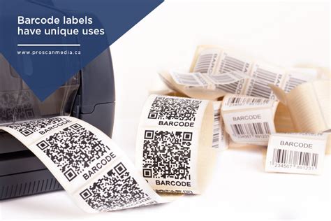 What Are the Different Kinds of Barcode Labels? - ProScan Media Products