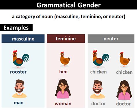 Gender Explanation And Examples | Free Download Nude Photo Gallery