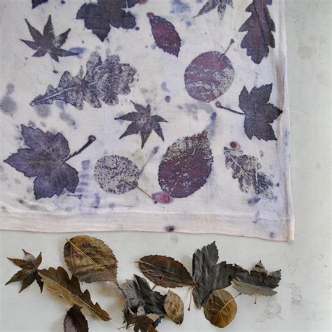 Eco-printing with mixed leaves: maple, oak, blackberry, cotinus | Eco ...