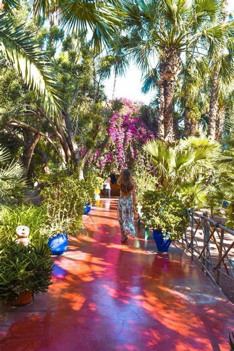 Is It Worth A Visit To Majorelle Gardens And Ysl Museum - McLachlan ...